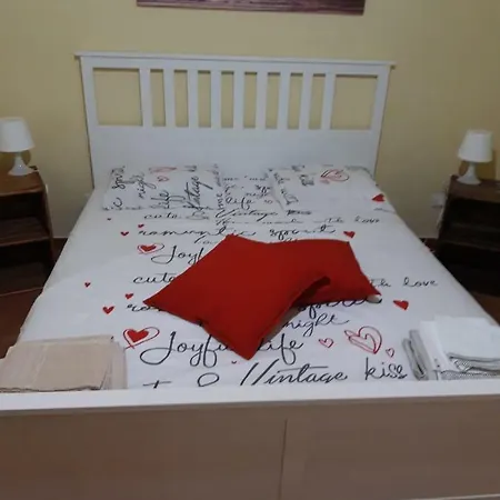 Il Volo Del Gabbiano *