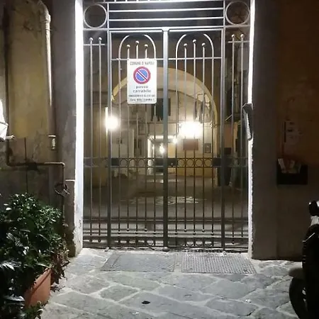 Il Volo Del Gabbiano