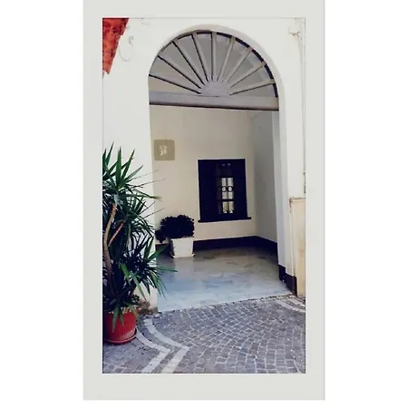 Il Volo Del Gabbiano * نابولي