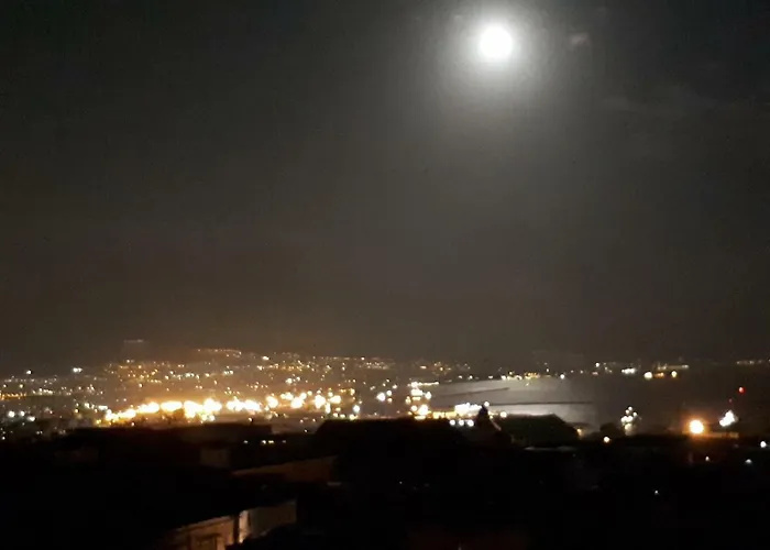 Il Volo Del Gabbiano *