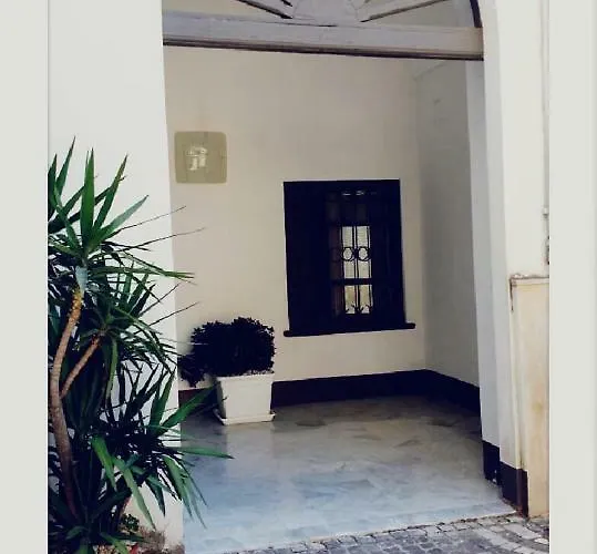 Il Volo Del Gabbiano *