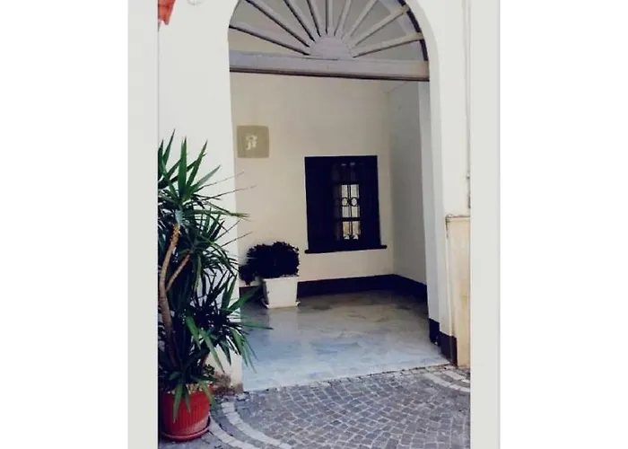 Il Volo Del Gabbiano * Nápoles